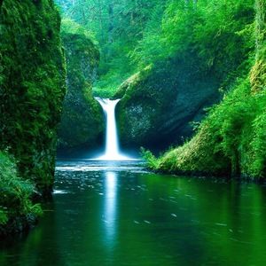 Meet your Posher, Wyatt